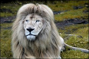 Bild - 16.jpg Bild - 16.jpg