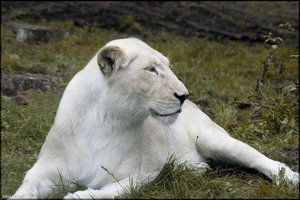 Bild - 17.jpg Bild - 17.jpg