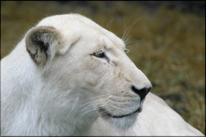 Bild - 18.jpg Bild - 18.jpg