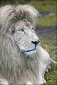 Bild - 19.jpg Bild - 19.jpg