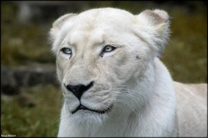 Bild - 20.jpg Bild - 20.jpg