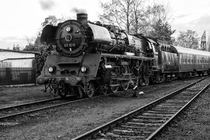 2015-11-08_03 1010-2__MG_2452-2.jpg