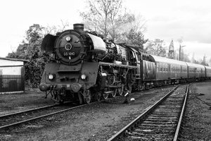 2015-11-08_03 1010-2__MG_2466-2.jpg