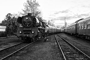 2015-11-08_03 1010-2__MG_2482-2.jpg