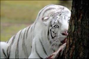 Bild - 22.jpg Bild - 22.jpg