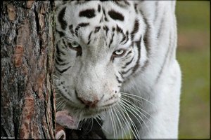 Bild - 25.jpg Bild - 25.jpg