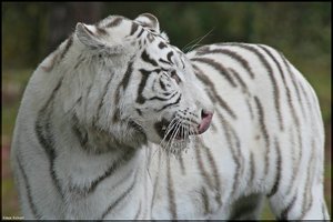 Bild - 28.jpg Bild - 28.jpg