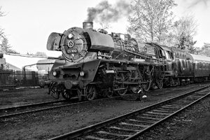 2015-11-08_03 1010-2__MG_2521-2.jpg