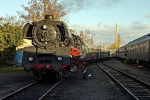 2015-11-08_03 1010-2__MG_2541.jpg