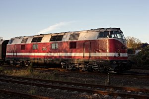 2015-11-08_03 1010-2__MG_2501.jpg