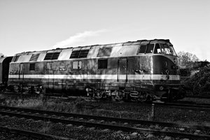 2015-11-08_03 1010-2__MG_2501-2.jpg