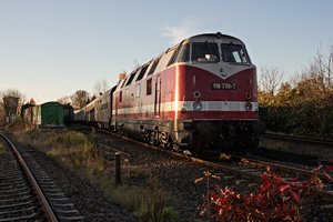 2015-11-08_03 1010-2__MG_2511.jpg