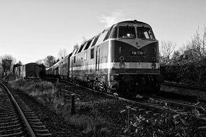 2015-11-08_03 1010-2__MG_2511-2.jpg