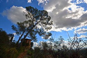 13b_jix.jpg 13b_jix.jpg