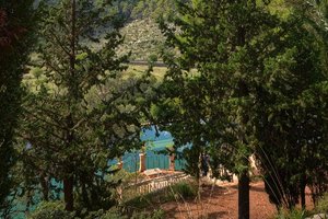 21_jix.jpg 21_jix.jpg