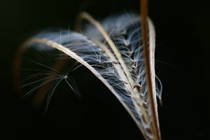 Forum DSC00562 (c) PPf.jpg