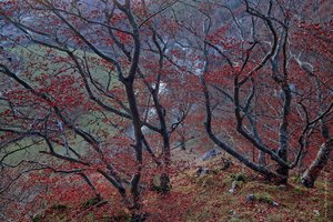 14-_538BF.jpg 14-_538BF.jpg