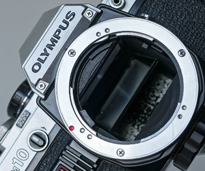 2015-11-16_OM  10  mit  OM  3.5-50mm_DSC3898.jpg