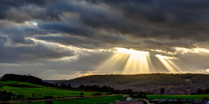 _MG_7712_3_4_pm_1400.jpg _MG_7712_3_4_pm_1400.jpg