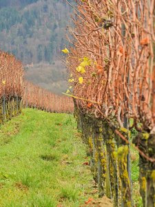 comp_Herbstlich 031.jpg