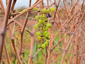 comp_Herbstlich 022.jpg