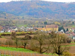 comp_Herbstlich 023-ts.jpg