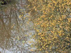 comp_Herbstlich 001.jpg