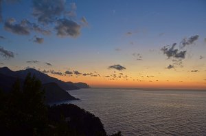 DSC_5415_jiC.jpg DSC_5415_jiC.jpg