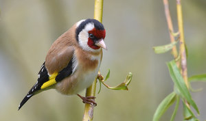 DSC_7764.jpg DSC_7764.jpg