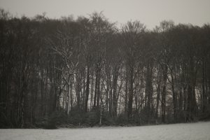 Forum DSC03829 Nex 5r + Canon FD 1,4 50mm (c) PPf.jpg