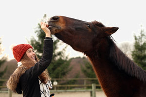 IMG_3645a_bearbeitet-1.jpg IMG_3645a_bearbeitet-1.jpg