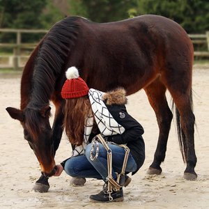 IMG_3649a_bearbeitet-2.jpg IMG_3649a_bearbeitet-2.jpg