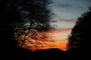 Forum DSC04289 Nex 5r + Porst 1,4 55mm (c) PPf.jpg