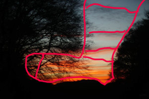 Forum DSC04289 Nex 5r + Porst 1,4 55mm (c) PPf_waldschratifiziert.jpg