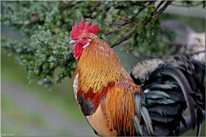 Bild - 7.jpg Bild - 7.jpg