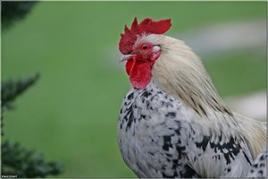 Bild - 8.jpg Bild - 8.jpg