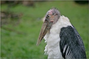 Bild - 9.jpg Bild - 9.jpg