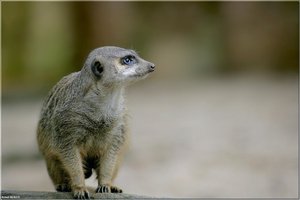 Bild - 10.jpg Bild - 10.jpg