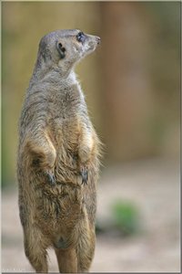 Bild - 12.jpg Bild - 12.jpg