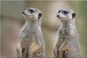 Bild - 13.jpg Bild - 13.jpg