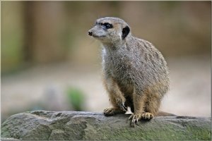 Bild - 14.jpg Bild - 14.jpg