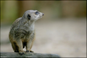 Bild - 16.jpg Bild - 16.jpg