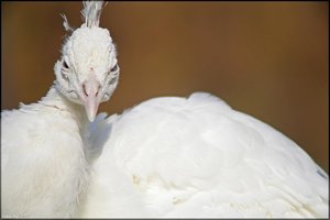 Bild - 1.jpg Bild - 1.jpg