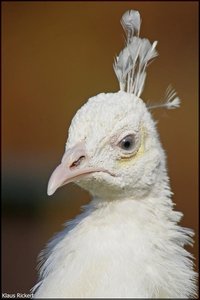 Bild - 2.jpg Bild - 2.jpg