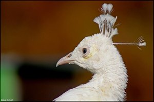 Bild - 3.jpg Bild - 3.jpg