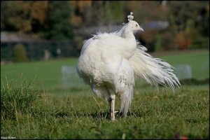 Bild - 4.jpg Bild - 4.jpg