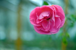 2015-12-14_004118_RUNDGANG  FUJI.jpg