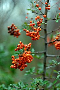 2015-12-14_004123_RUNDGANG  FUJI.jpg