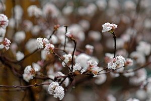 2015-12-14_004125_RUNDGANG  FUJI.jpg