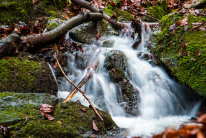 2015 12 21_0204_bearbeitet-1.jpg